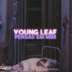 Young Leaf - Pensas Em Mim