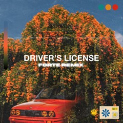 DRIVERS LICENSE - (FORTE REMIX)