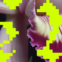 Premiere: Milio - Erosie (Gregor Tresher Remix) [Flores]