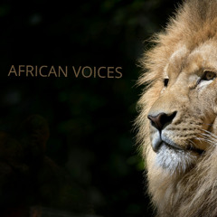 African Voices