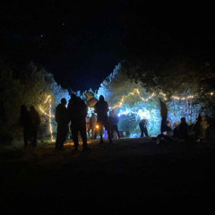 Night-Time Psytrance Free Party mix 23/8/25