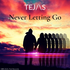 Never Letting Go (Extended Mix)