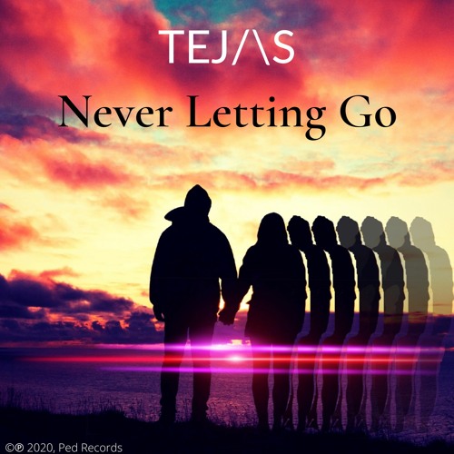 Never Letting GO (Radio Edit)