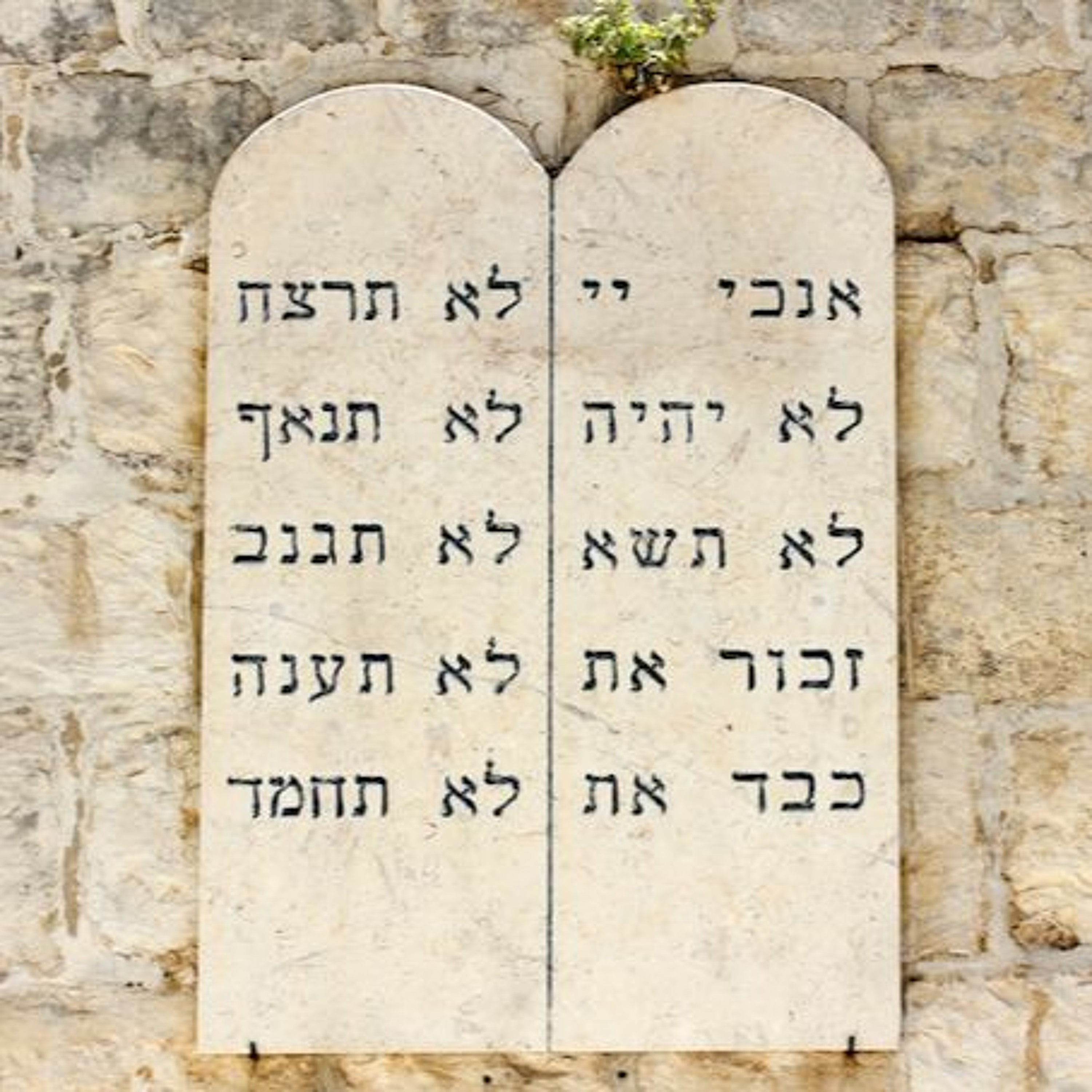 Conversations with the Rabbi