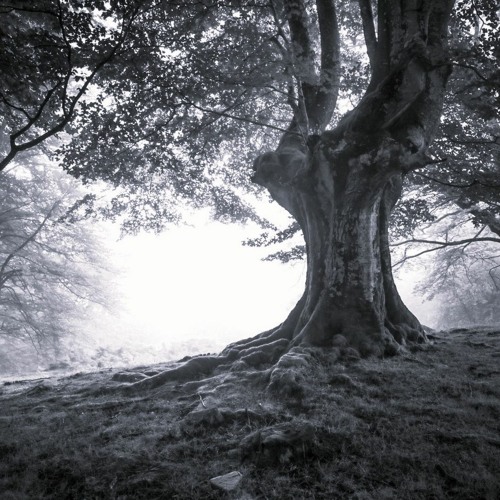 DJ SIDEWAYS - DUB TECHNO SESSION - 141