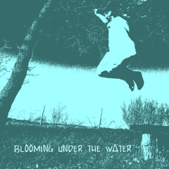 3- BRIGADE APACHE - BLOOMING UNDER THE WATER