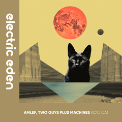 EER369 | Amlef, Two Guys Plus Machines - Acid Cat [Electric Eden Records]