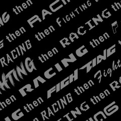 Entertainment System 003 - Racing/Fighting
