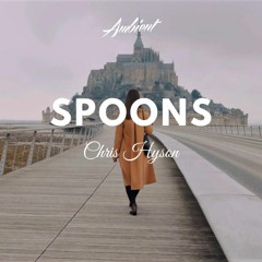 Chris Hyson - Spoons