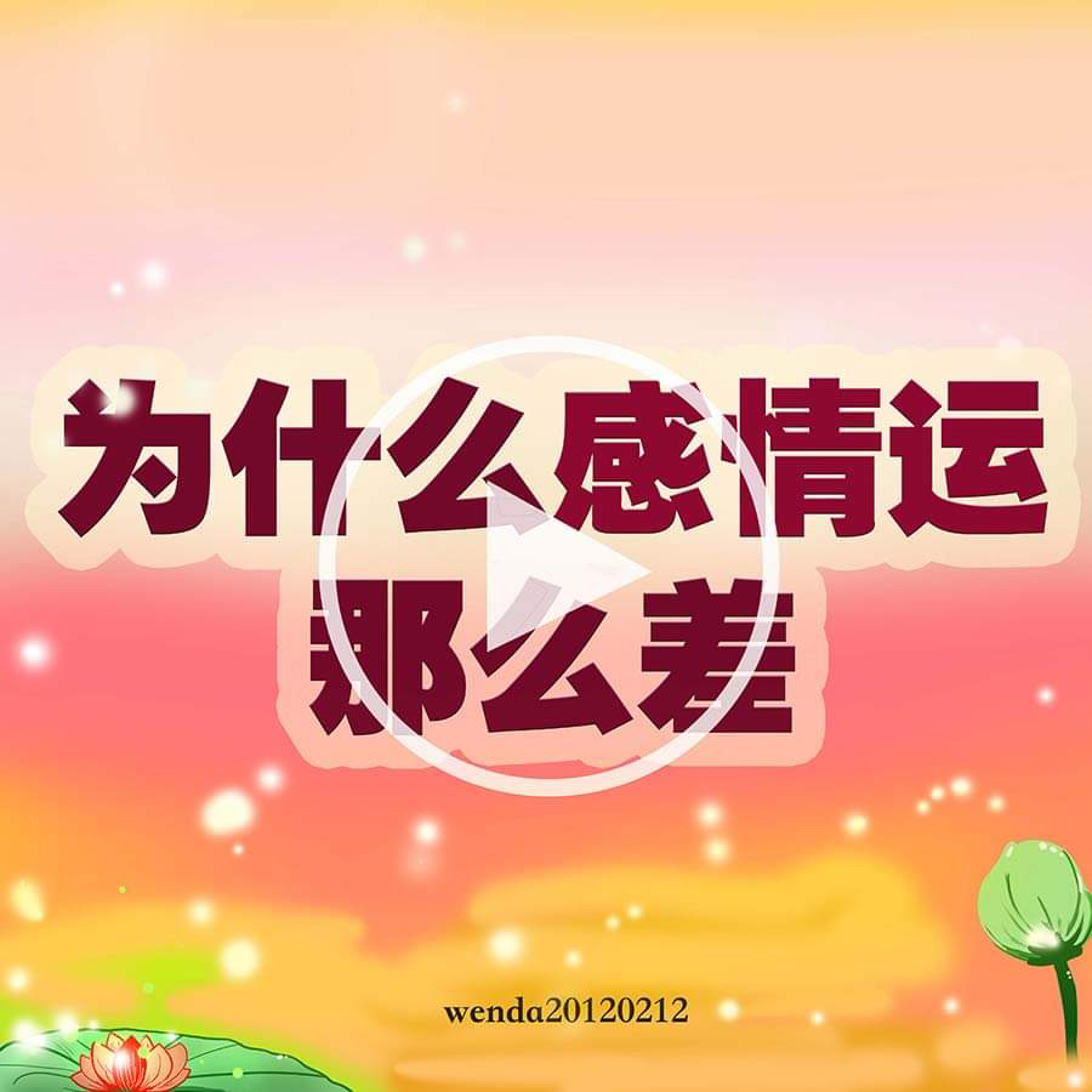 为什么感情运这么差 episode artwork