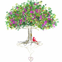 The 4 Types Of Field