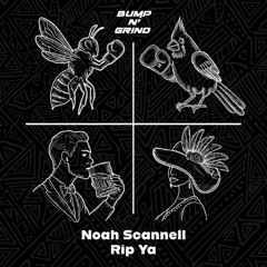 Noah Scannell - Rip Ya (Original Mix)