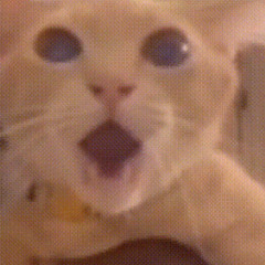kitty_electro