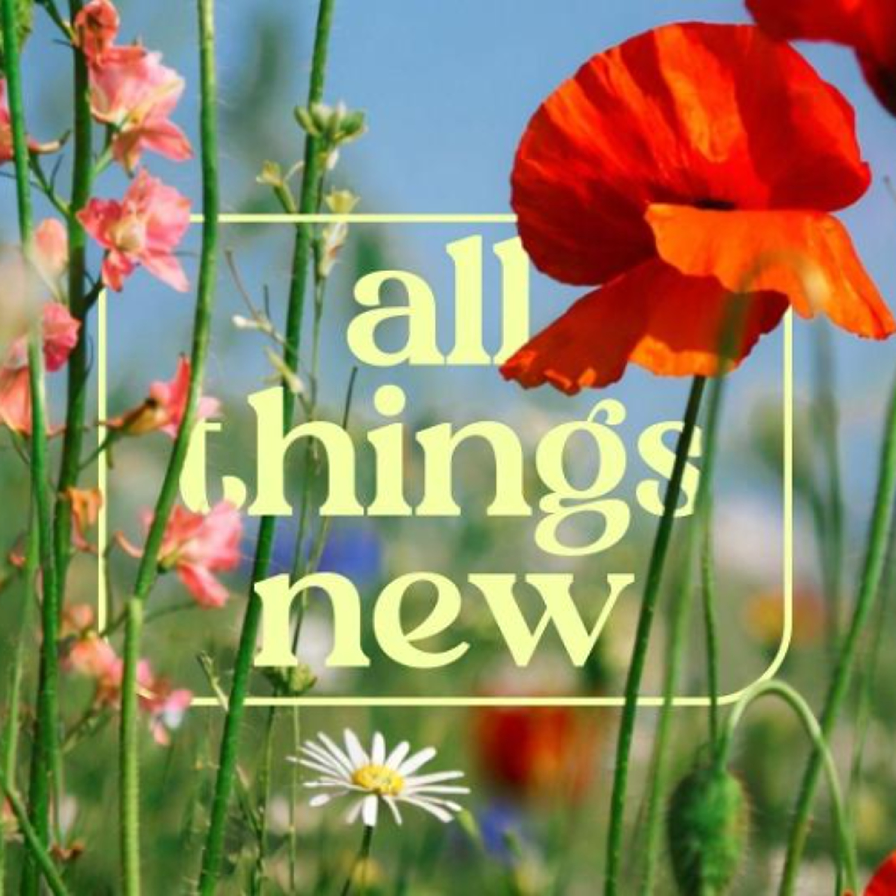 All Things New // A New Power // Roger Pethybridge episode artwork
