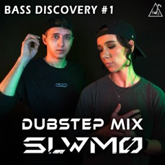 SLWMO Heavy Dubstep, Melodic Briddim Mix 2025 | Bass Discovery #1