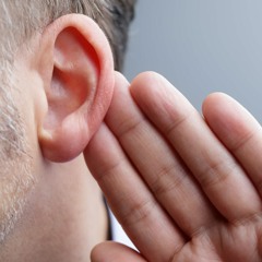What's That Sound? - COMBSTEAD / Robert Grigg