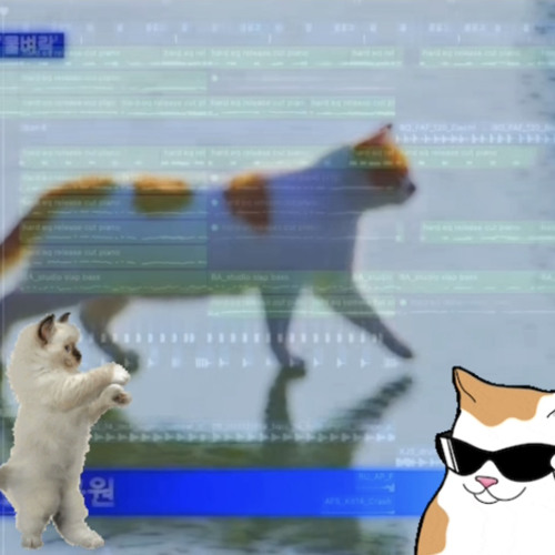 Miiro - 꽁꽁 얼어붙은 한강 위로 고양이가 걸어다닙니다 Miiro remix