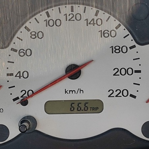 CALDA MATTINATA DI LUGLIO - REC-2025-07-01