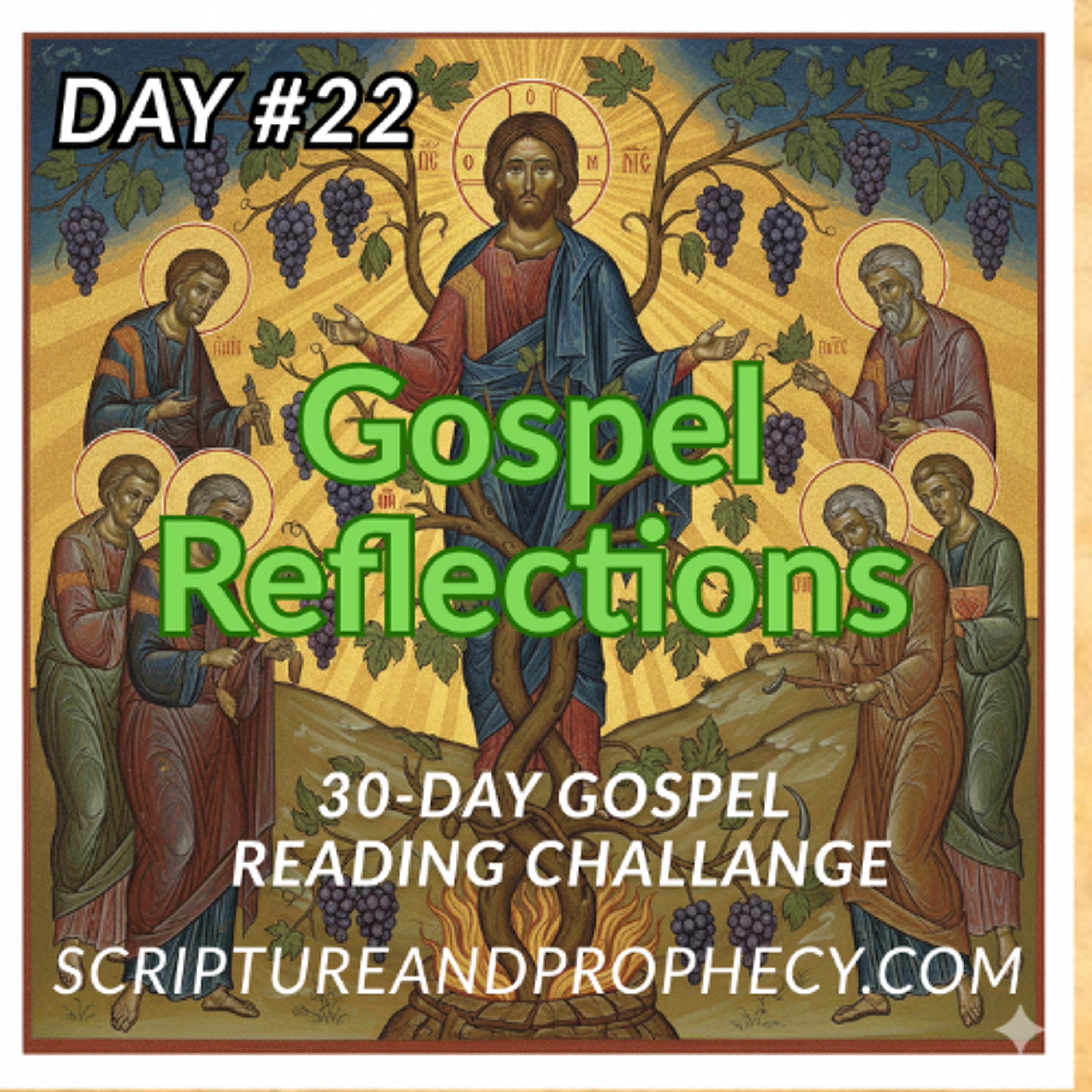 How Do We Abide In Christ? - 30-Day Gospel Reading Challenge - Day 22 (John 15:1-17)