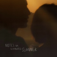 contrajour - notes on separated summer