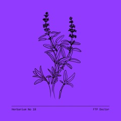 Herbarium No 18 - FTP Doctor - Salvia Divinorum
