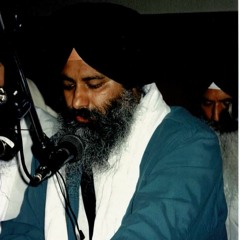 Satigur Kee Saranaiee Bhaj Pau Mere Manaa - Bhai Tejinderpal Singh Doola Ji