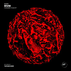 Nemesis (Tapage Noir Remix)