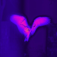 I’LL STILL FLY AWAY (w/ SV)