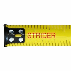 Strider