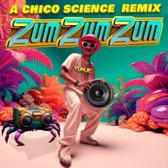 Chico Science-ZumZumZum(Vunje Remix)