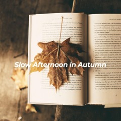 Sumptuous Moods for Timeless Classics