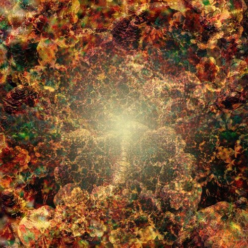 Sourfly - Falling Upwards V1.13