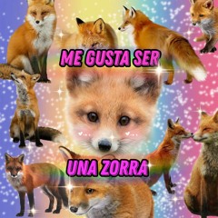 Me gusta ser una zorra - Hardcore remix