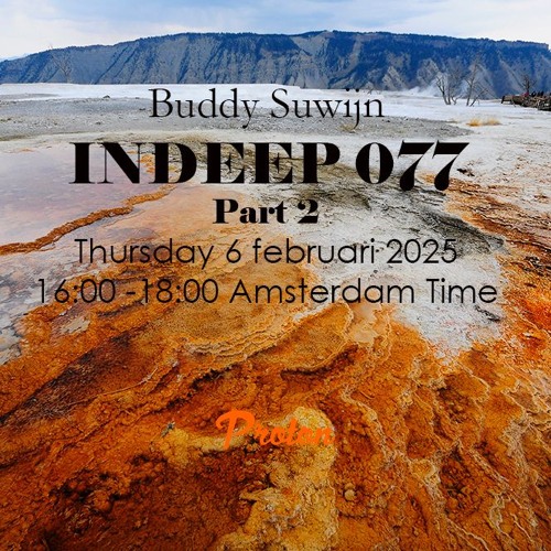 Buddy Suwijn INDEEP 077 februari 2025 2nd Hour @ PROTON RADIO
