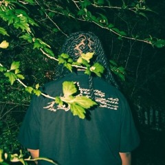OG_Prod_Venexxi_Spill