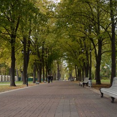 музики лля улиции