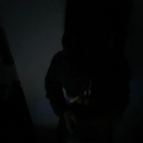 Ex5 (Prod. Deshawn!)
