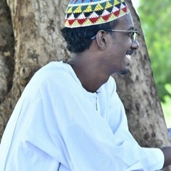 امونه - دفع الله محمد الطيب