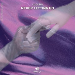 Lucardi - Never Letting Go