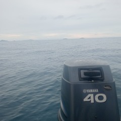 wan steady love 🍻