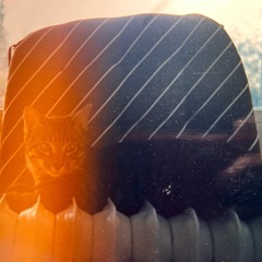 Katze auf der Couch - All Vinyl Mix