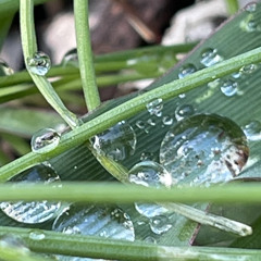 I know you wish it was me