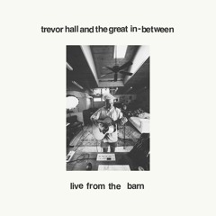 so whatever (feat. Tristan Prettyman) - live from the barn