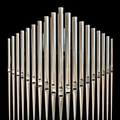 Draft for Organ Work