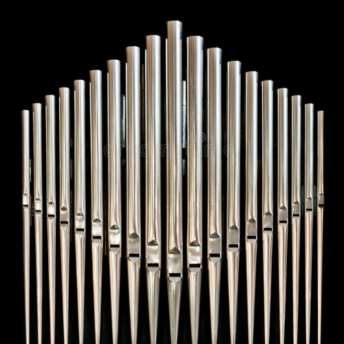 Draft for Organ Work