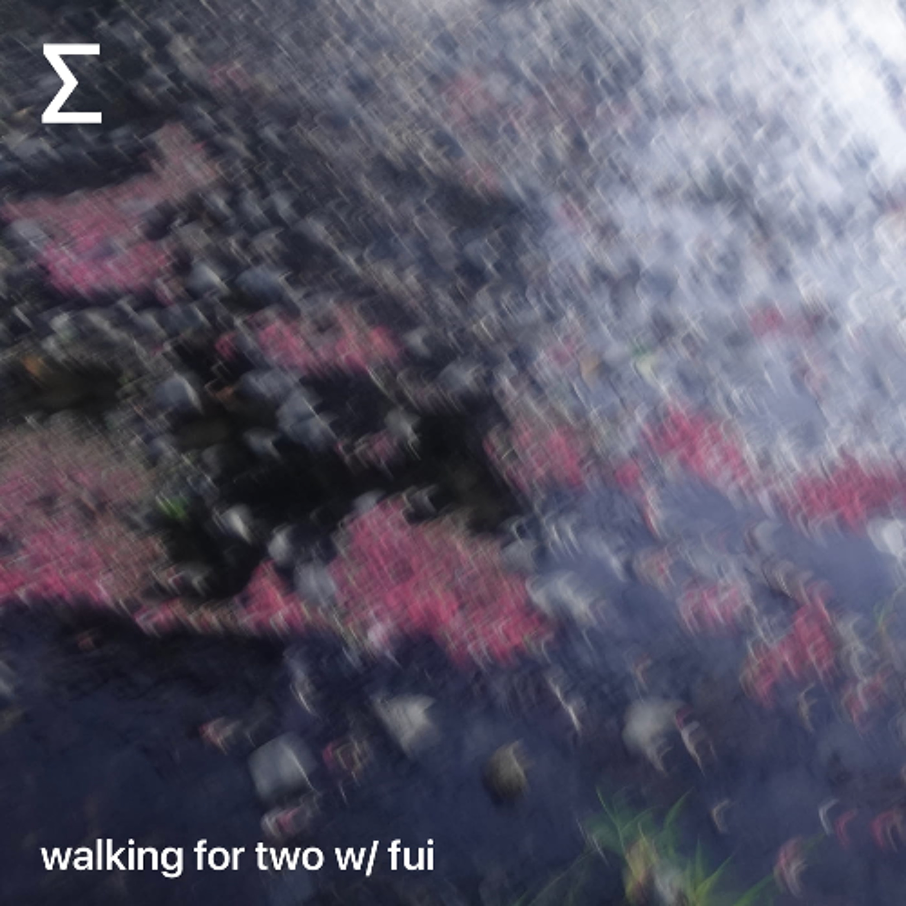 walking for two w/ fui