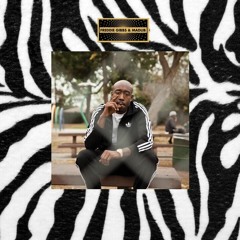 SHAME - FREDDIE GIBBS (raptokman remix)
