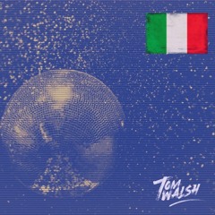 New Years Day Vinyl Mix 🇮🇪 Italo, Disco & Classic House  Special 🇮🇹