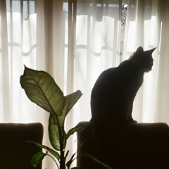 odio mi forma de ser (andry bett/bob crous)