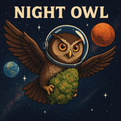Night Owl
